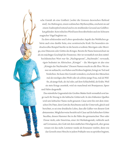 Bernhardi, Anne / Fricke, Birgit - Die Kelten. Verborgene Welt der Barden und Druiden (Kinder- und Jugendbuch)