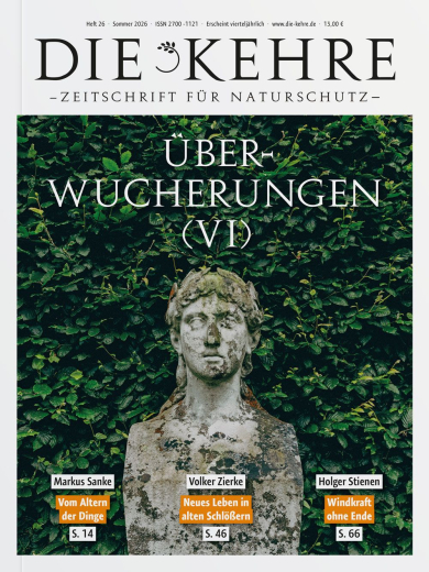 Die Kehre #26: Überwucherungen (VI)