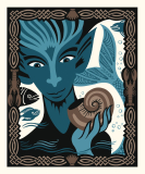 Chronicle Books (Hrsg.) - Keltische Märchen. Zauberhafte Märchen und Geschichten aus Irland, Schottland, der Bretagne und Wales