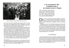 Krüger, Dennis - Der Aufgang der Schwarzen Sonne. Von den okkulten Wurzeln des 3. Reiches zur Germanenkunde und Okkulten Wissenschaft im Umfeld des SS-Ahnenerbe